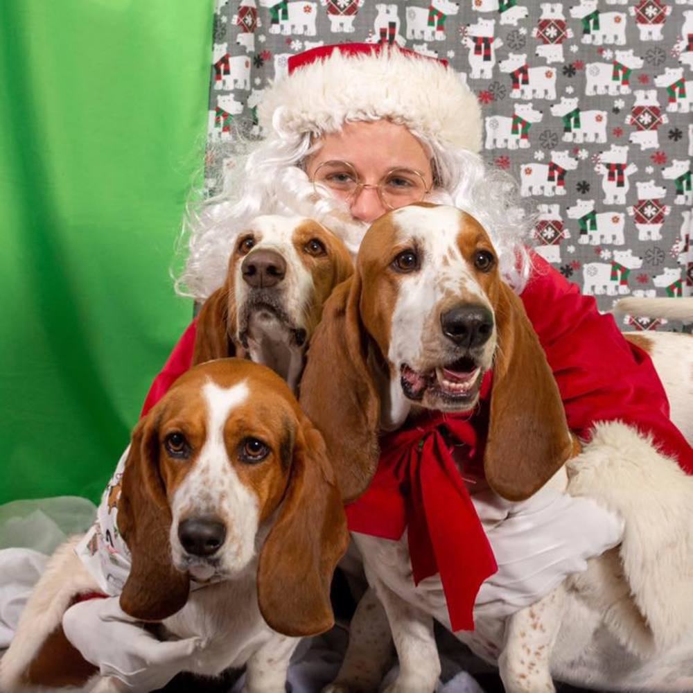 Meet your Posher, Zoë